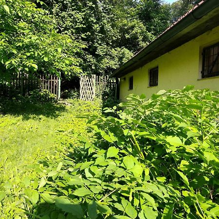 Apartman Lucie Liběchov エクステリア 写真